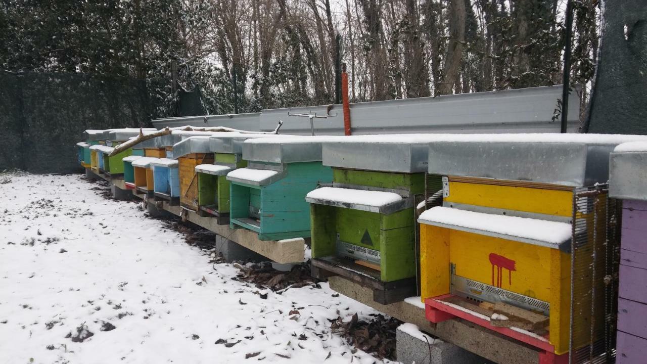 Agriturismo Honey Farm Piazzola sul Brenta Exterior photo